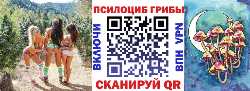 Галлюциногенные грибы Psilocybine cubensis Злынка