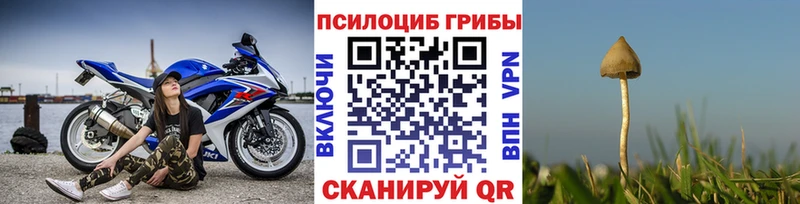 Псилоцибиновые грибы Psilocybine cubensis  darknet клад  Злынка  как найти наркотики 